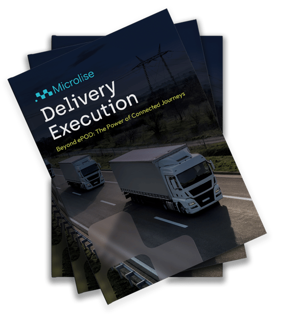 Delivery Execution_Brochure Mockup